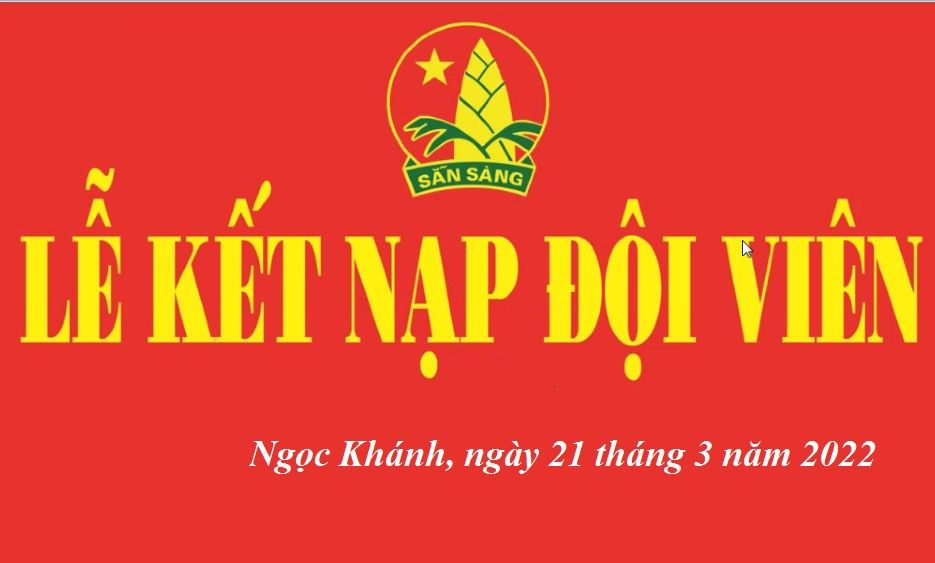 Lễ kết nạp đội viên - Niềm vinh dự, tự hào của thiếu nhi