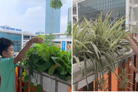 Ngọc Khánh, ngôi trường xanh, ngôi trường hạnh phúc