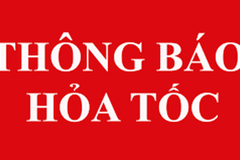 Tạm dừng phương án cho học sinh các khối lớp 1, 2, 3, 4, 5, 6 thuộc 12 quận trở lại trường học tập trực tiếp cho đến khi có thông báo mới