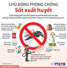 Hướng dẫn phòng chống bệnh Sốt xuất huyết