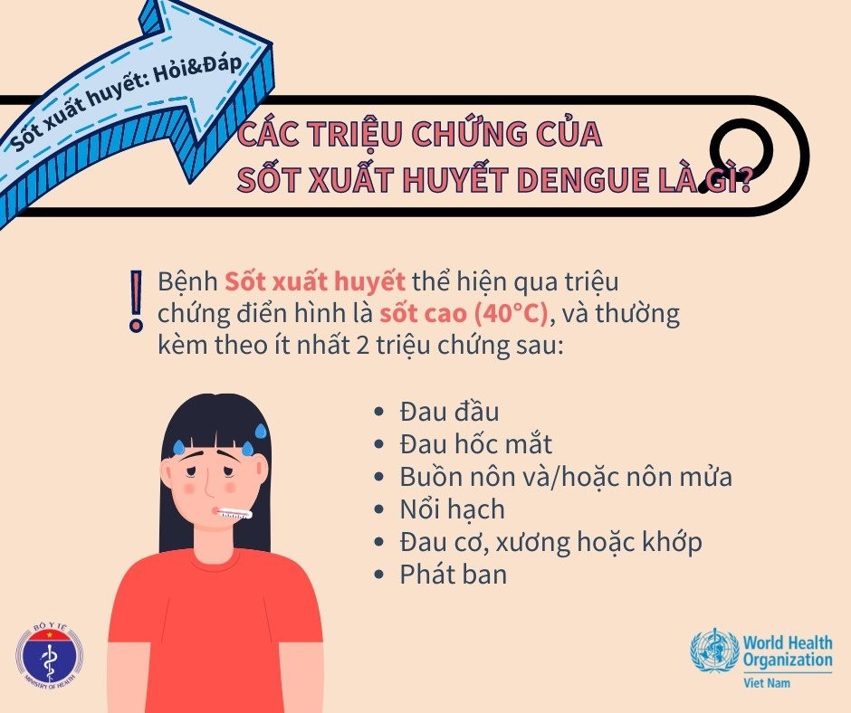 Sốt xuất huyết: Nguyên nhân, triệu chứng và cách phòng ngừa