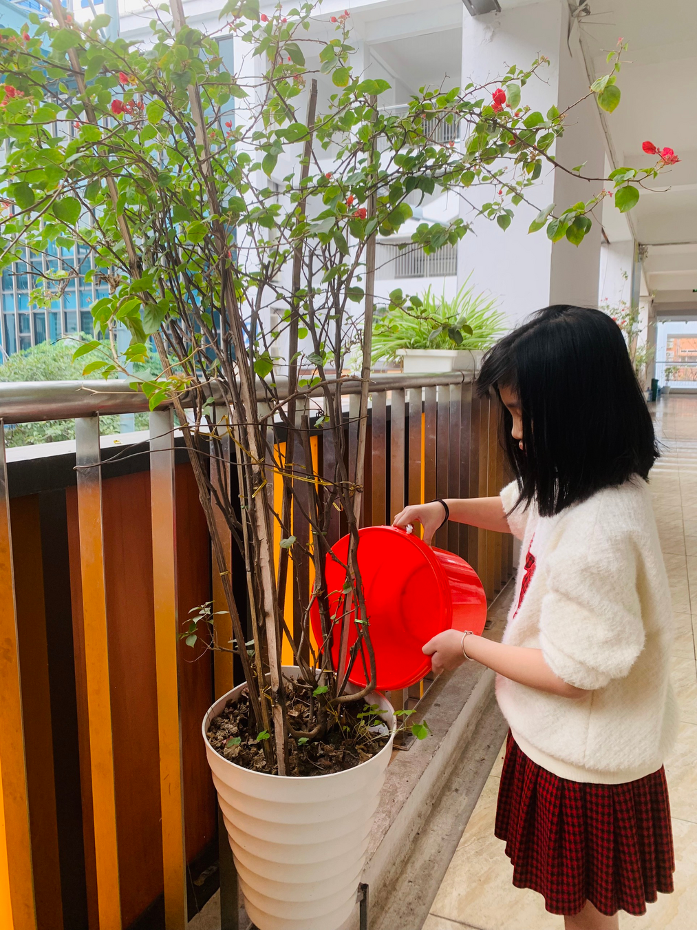 Các bạn lớp 2A4 cùng nhau chăm sóc và bảo vệ cây xanh