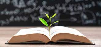 Kế hoạch tổ chức Ngày hội đọc sách - Chủ đề " Cuốn sách em yêu"