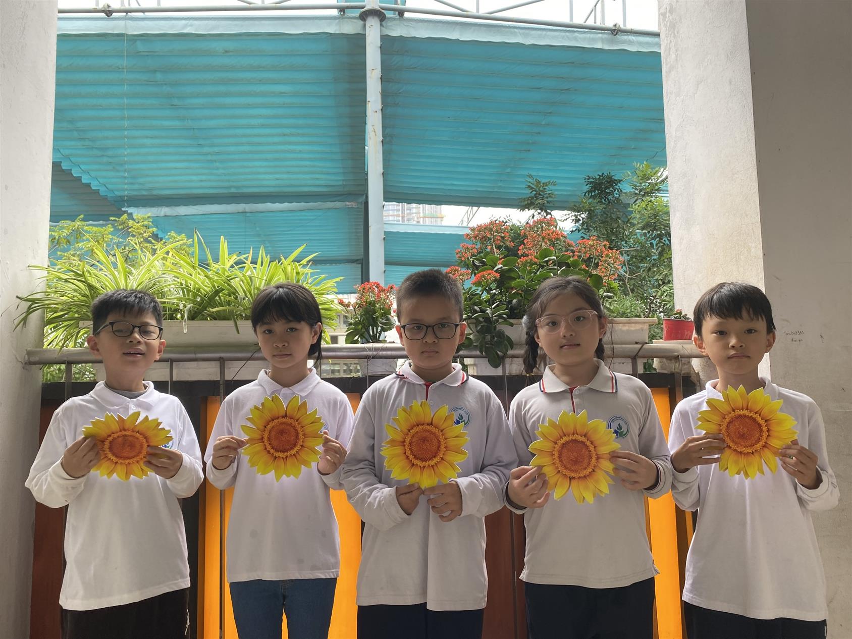 Lớp 3A3 chúc mừng học sinh đạt kết quả cao sân chơi “Đấu trường Vioedu” cấp trường.