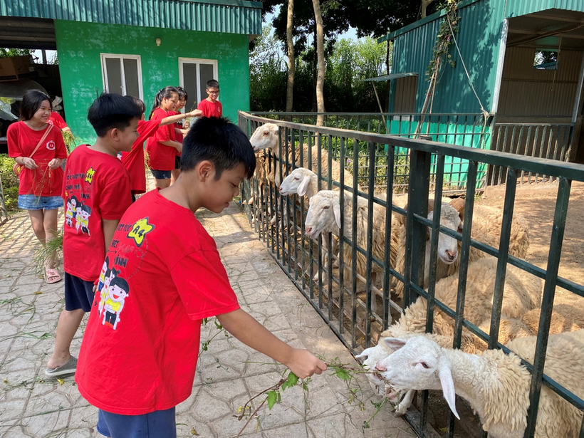 Ảnh có chứa hàng rào, ngoài trời, người, mặt đất
Mô tả được tạo tự động