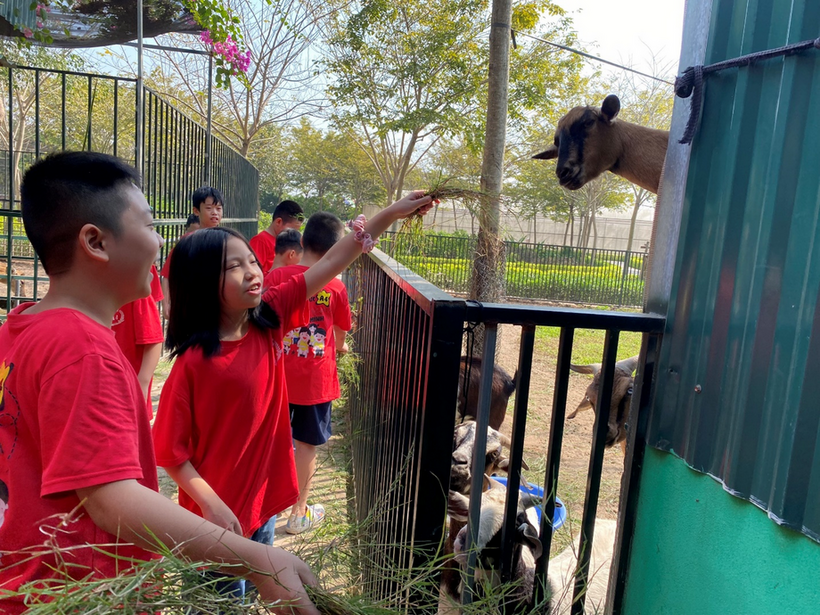 Ảnh có chứa ngoài trời, người, vật thể ngoài trời
Mô tả được tạo tự động