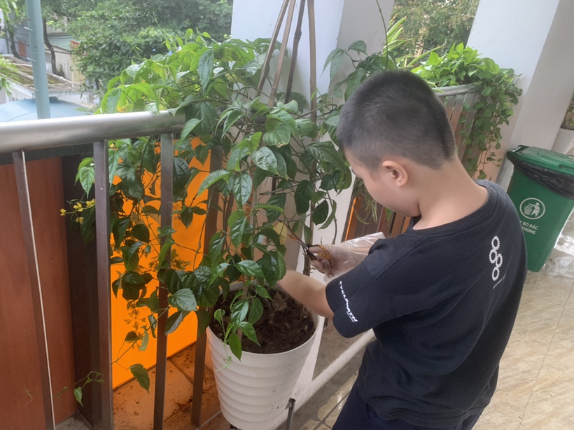 C:\Users\Lop A\Desktop\z3664347033346_76f4cf7d1ead7f4f0fe75dddaae21fec.jpg